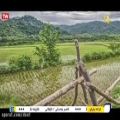 عکس موزیک ویدئو تفنگ چخماغی - ناصر وحدتی - ترانه باران