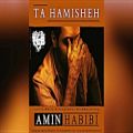 عکس Amin Habibi - Ta Hamisheh 2019 آهنگ جدید امین حبیبی - تا همیشه