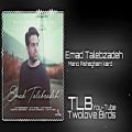 عکس Emad talebzadeh - Mano ashegham Kardi 2019 (Official Track)