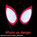 عکس آهنگ spider man in to the spider_verse به نام whats up danger