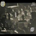 عکس عبدالحلیم حافظ - زای القندیل / از کنسرتهایش (عبدالحلیم حافظ)