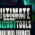 عکس Ultimate Melody Tools | MIDI Melodies | WAV Melodic Loops