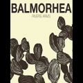 عکس Balmorhea - The Winter پست راک | موسیقی مینیمال