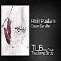 عکس Amin Rostami - Delam Gerefte (Official Track) امین رستمی - دلم گرفته