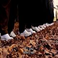 عکس ویدیو کلیپ جدید گروه رقص کردی (هه ڵپه رکی) شنه ی شاهۆ - زمستان ۹۷