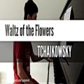 عکس اجرای آهنگ Waltz of the Flower توسط سپهر یحیی زاده