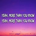 عکس Axwell Λ Ingrosso - More Than You Know