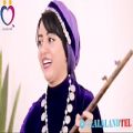 عکس اجرای شاد کرمانجی - محلی خراسان persian music