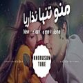 عکس Mohammad Lotfi Narefigh Lyrics video English sub محمد لطفی نارفیق