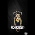عکس Rich Monkey$ - Drake x Desiigner Type Beat