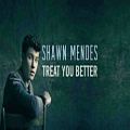 عکس آهنگ زیبای Shawn Mendes - Treat You Better