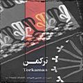 عکس تکنوازی سه تار استاد حسین علیزاده در آلبوم ترکمن