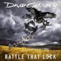 عکس آهنگ David Gilmour به نام Rattle That Lock (Youth Mix - Extended Radio Dub)