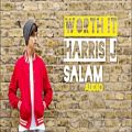 عکس Harris J - Worth It feat. Saif Adam | Audio
