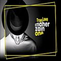 عکس Maher Zain - True Love (Audio)