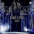 عکس کنسرت fake love از BTS