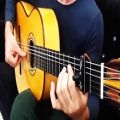 عکس گیتار _ Flamenco Guitar Techniques