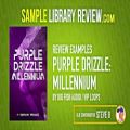 عکس بررسی مجموعه کیت های آهنگ هیپ هاپ Big Fish Audio Purple Drizzle: Millennium
