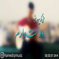 عکس نوازندگی گیتار روی آهنگ مازیار فلاحی توسط حامد رجبی پور