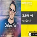 عکس Naser Zeynali - Delbare Nab ( ناصر زینعلی - دلبر ناب )