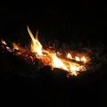 عکس تصنیف یک شب آتش در نیستانی فتاد - استاد شهرام ناظری