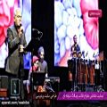عکس کنسرت مهران مدیری