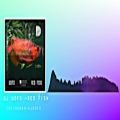 عکس DJ UOFO NEW MUSIC - آهنگ جدید از دیجی یوفو DJ uofo-Red fish