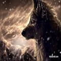 عکس موسیقی زیبای The Wolf And The Moon