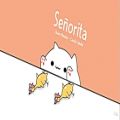 عکس ♡آهنگ Señorita - توسط گربه ی Bongo♡