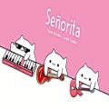 عکس ♡آهنگ Señorita - توسط گربه های Bongo♡