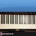 عکس HOW TO PLAY - CHICKEN DANCE (Piano Tutorial Lesson)