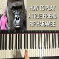 عکس HOW TO PLAY - FILTHY FRANK - A TRUE FRIEND - HARAMBE TRIBUTE SONG (Pi