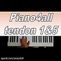 عکس تقویت تاندون 1 و 5 - تکنیک پیانو