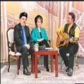 عکس حبیب اجرای زنده آهنگ آذری