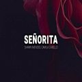 عکس Shawn Mendes and Camila Cabello – Señorita (Lyrics)