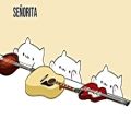 عکس آهنگ senorita ورژن گربه ای❤دنبـال=دنبـال!