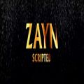 عکس ZAYN - Scripted (Audio)