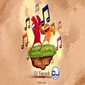 عکس Persian Dance Music - Yala Yala (DJ Siavash)