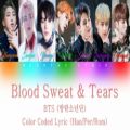 عکس BTS Blood Sweats And Tears با زیرنویس فارسی و تلفظ آسان
