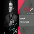 عکس Shahrooz Habibi - Labbayk - Full Album ( شهروز حبیبی - آلبوم لبیک )