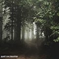 عکس Old Forest | Beautiful Chillstep Mix