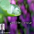عکس شعر با صدای شاعر - راه کج - استاد محمدرضا صفاری