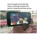 عکس وقتی پروانه اهنگ butterfly بی تی اس رو میبینه ❣