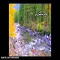 عکس شعر با صدای شاعر - طریق صوفی صافی - استاد محمدرضا صفاری