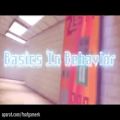 عکس اهنگ بالدی به نام BASICS IN BAHVIOR