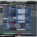 عکس ساز های بادی چوبی Spitfire Audio Spitfire Symphonic Woodwinds