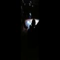 عکس اجرای رضا یزدانی در تئاتر آرامسایش-هذیون