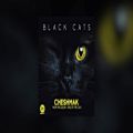 عکس Black Cats - Cheshmak OFFICIAL TRACK | چشمك - بلك كتس