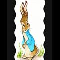 عکس یه روز یه آقا خرگوشه، شعر کودکانه یه روز یه آقا خرگوشه، ترانه کودکانه