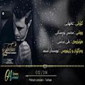 عکس آهنگ جدید محسن لرستانی - تنهایی ٢٠١٩